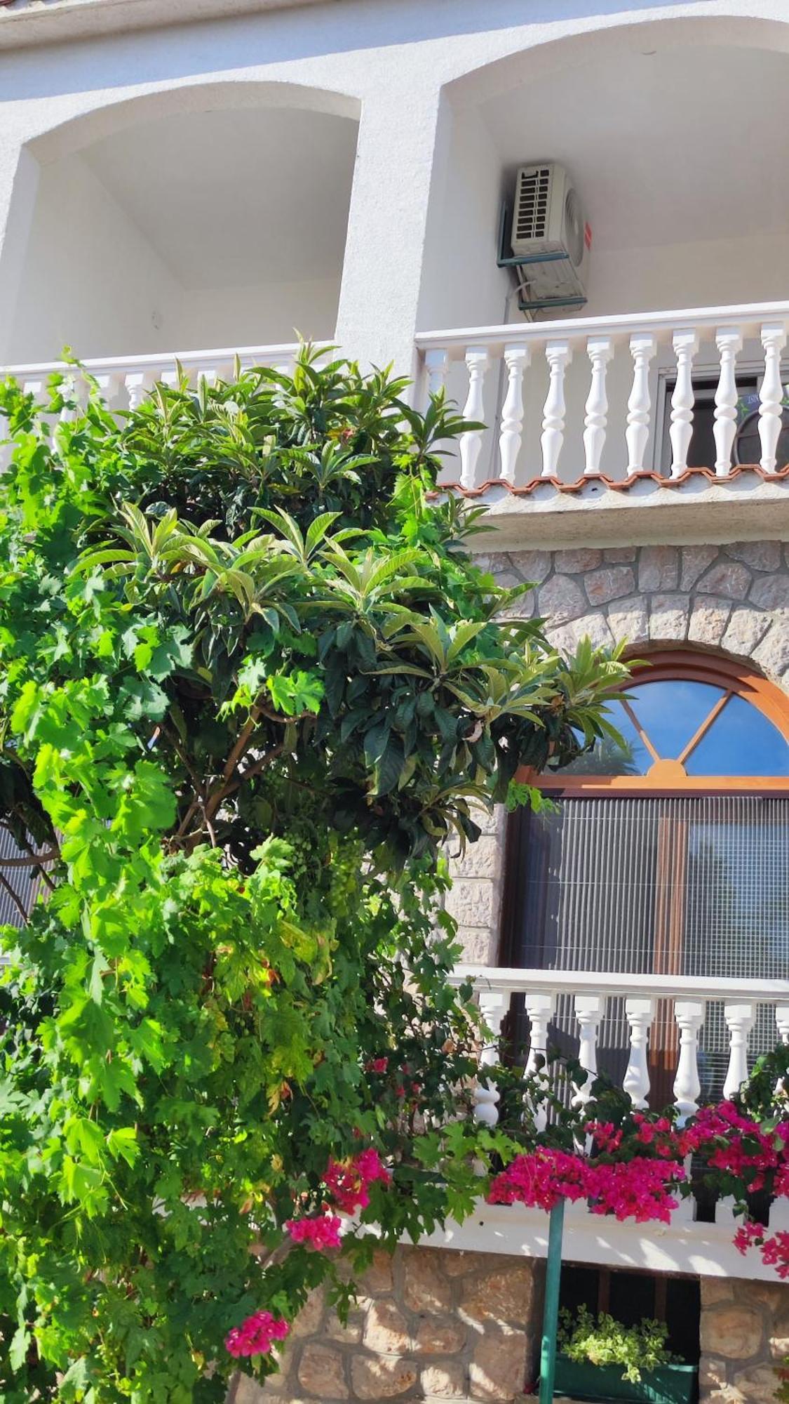 Apartments Veni Up Starigrad Paklenica Habitación foto